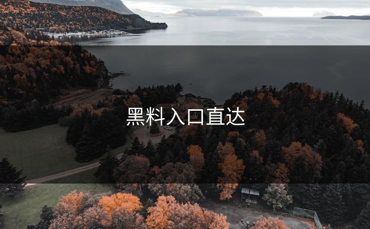 黑料入口直达